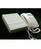 TH831 Single-Subscriber`s Radio Terminal
